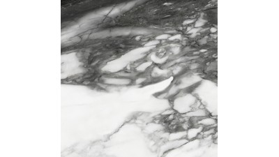 尼斯系列-卡拉黑